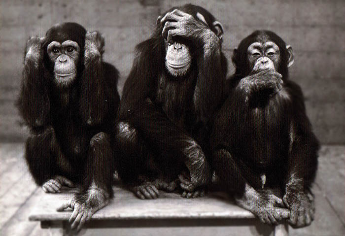 Los tres chimpancés de la imagen simbolizan de un modo simpático las dificultades de comunicación. Apelotonados Sobre una mesa, el de la izquierda se tapa las orejas, el del centro los ojos y el de la derecha la boca.